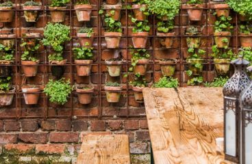 Planter et aménager un balcon, une cour ou un espace réduit – partie 1